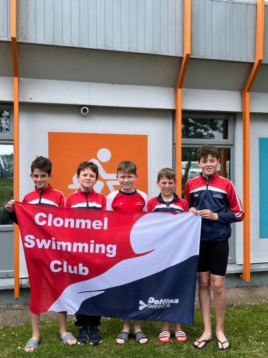 Young Male - Dolphin Minnows 2022